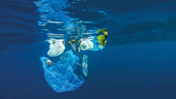 Plástico está en seis de los diez desechos más comunes en el océano.